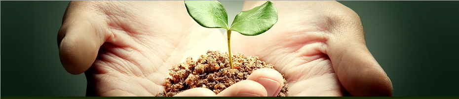 Лечение и профилактика_ Ожирение - Интераура_0.png